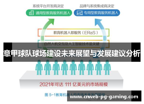 意甲球队球场建设未来展望与发展建议分析