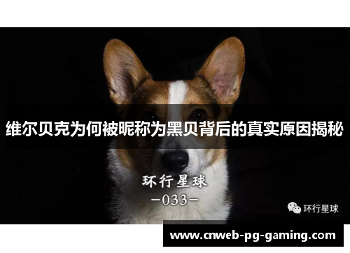 维尔贝克为何被昵称为黑贝背后的真实原因揭秘