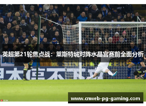 英超第21轮焦点战：莱斯特城对阵水晶宫赛前全面分析