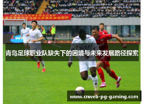 青岛足球职业队缺失下的困境与未来发展路径探索