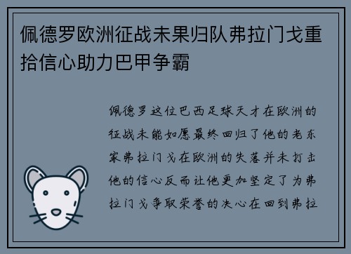 佩德罗欧洲征战未果归队弗拉门戈重拾信心助力巴甲争霸 佩德罗欧洲征战未果归队弗拉门戈重拾信心助力巴甲争霸